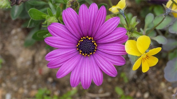 清纯帅气的游戏女生游戏名字2025最新版