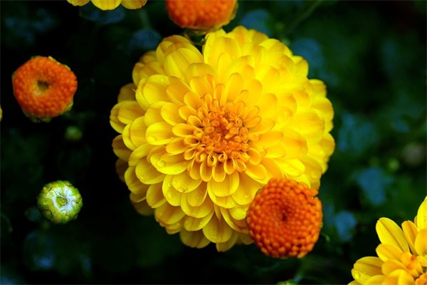 2025年4月发财的最新遇见逆水寒温柔游戏名