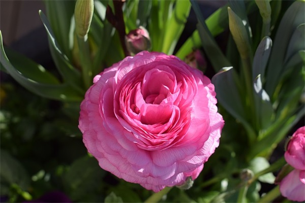 2025年和平精英名字，和平精英带符号名字