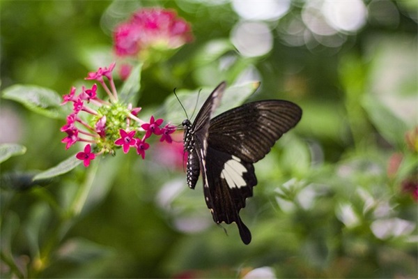 游戏名字大全（qq游戏昵称500个）