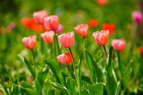 主力推荐通用的游戏战队名字最新（好听主力推荐通用的游戏战队名字）