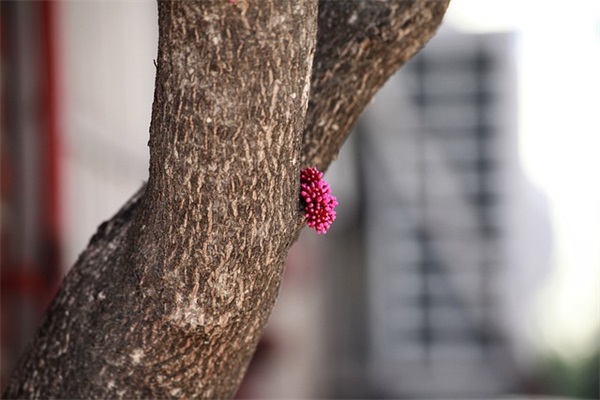 游戏女号名字推荐（鬼才游戏女号名字）