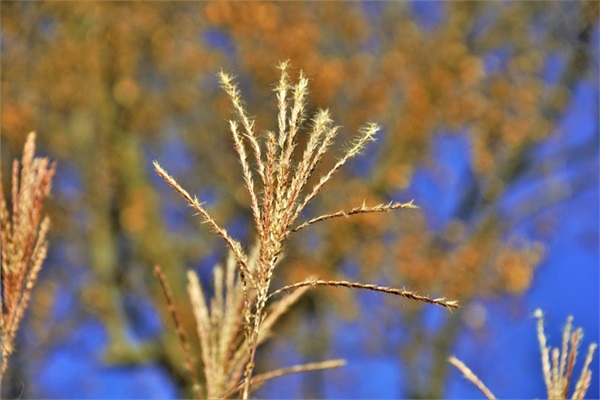 霸气,最新,超拽网名女