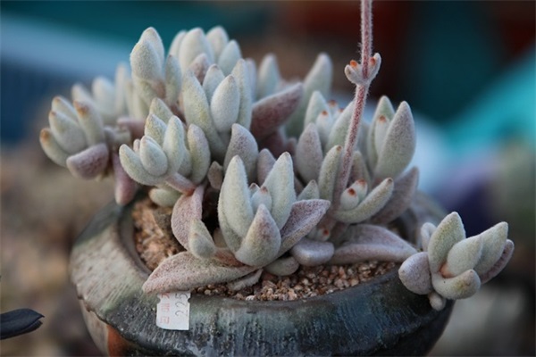 qq女生网名2026年最新版70句