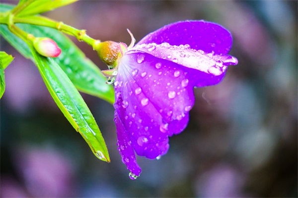 好听的舞蹈网名74个