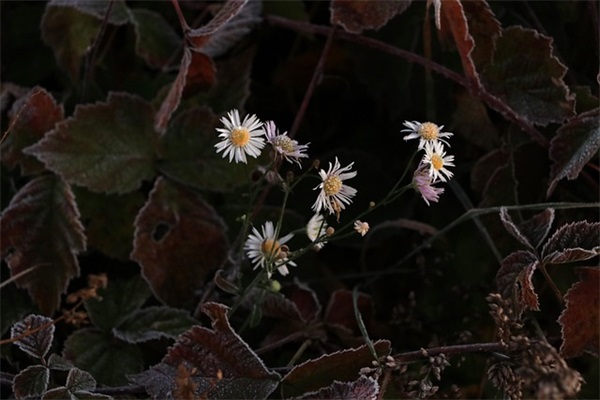 微信情侣网名最新汇总111个