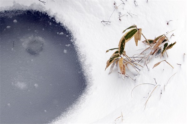 中老年人网名大全【31个精选】