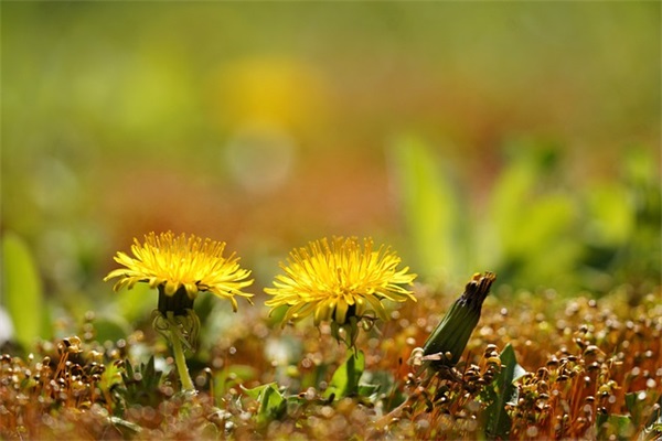 澎湃社会霸气网名