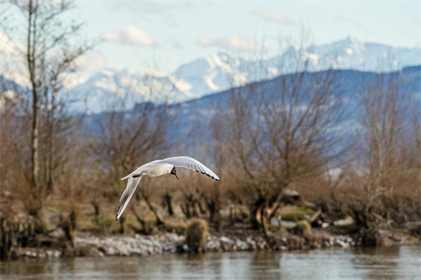 好听的网名昵称英文【127个精选】
