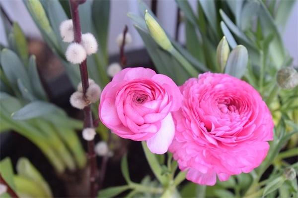 超好听的女生英文名（好听的女宝宝英文名）