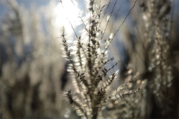 带老字的两字网名