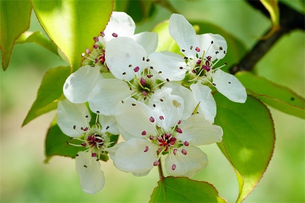 带蠙干的网名昵称