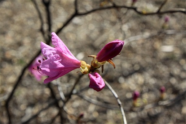 带可字开头的网名女