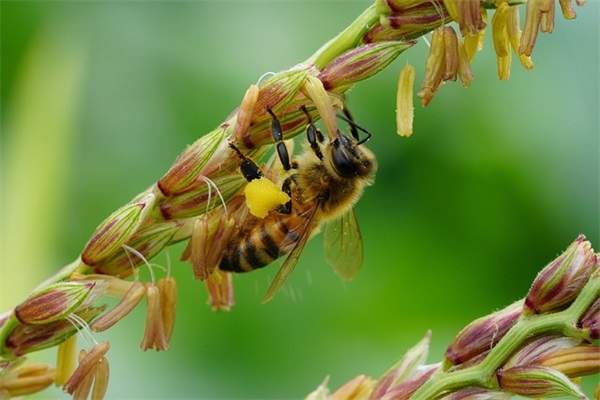 带黑子的名字搞笑网名