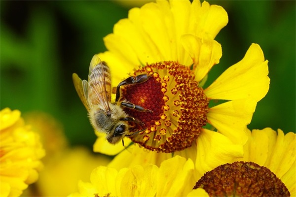 领导祝福语简短42句