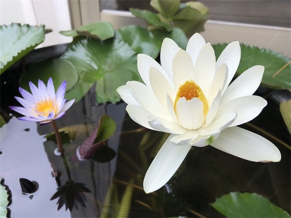 最好听的微信名四个字(精选746个)