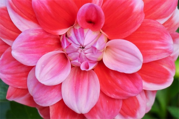 好听的游戏名字女昵称330个，女生独特的游戏名字大全