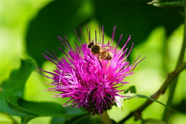 超冷酷黑暗系网名