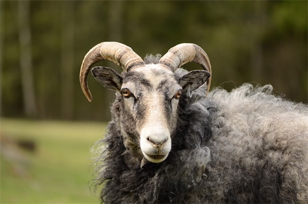 我想取个好听的微信名(优选823个)