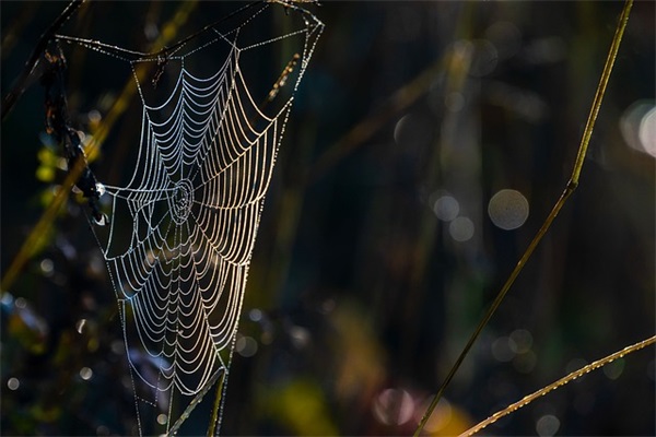 老年男微信名字（精选300个）