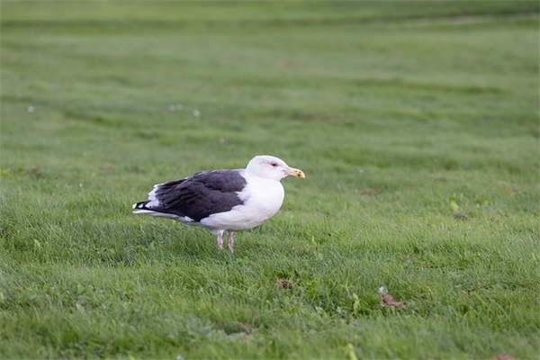 午夜十分的情侣网名，恋爱网名大全情侣
