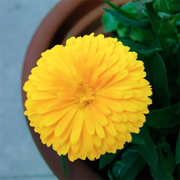 送给老公生日的祝福语 老婆给老公的生日祝语