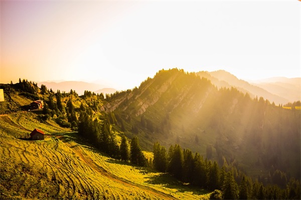 个性幽默生日祝福语 幽默搞笑生日祝福语