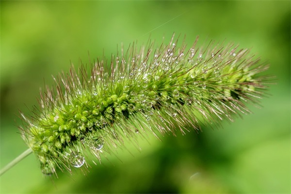 2026表姐结婚创意祝福语句子