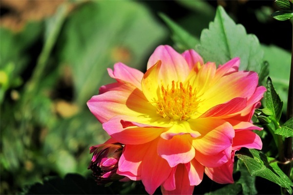 桥乔迁之喜祝福语大全 恭喜朋友乔迁的祝福语