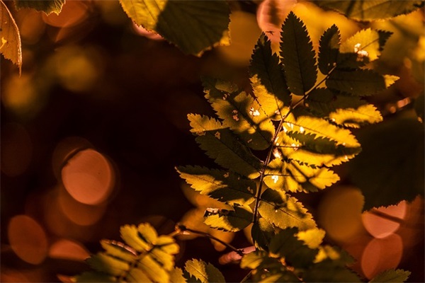 30岁生日祝福语简短 30岁生日祝福语男人