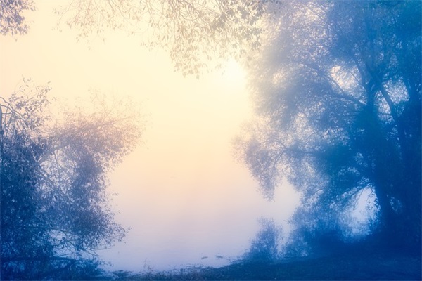 平安夜祝福语大全简短