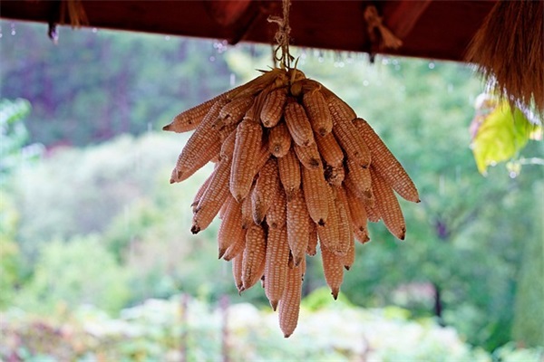 小孩子满月祝福语 孩子满月祝福语简短