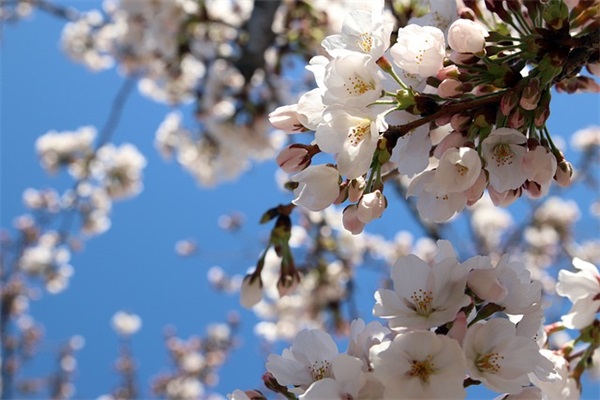 鼓励人考试的话 考试祝福语和鼓励的话