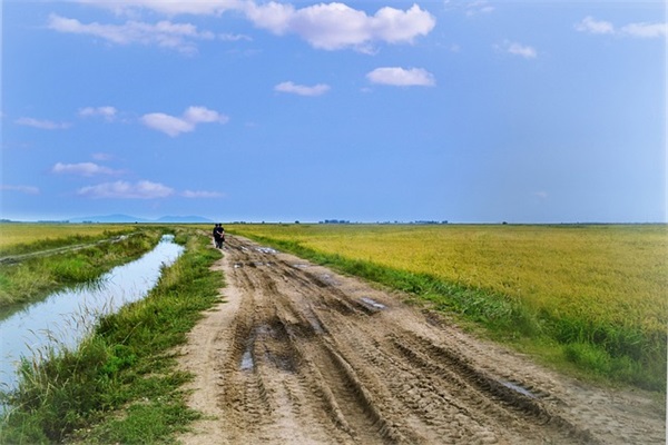 结婚奇葩祝福语 【结婚逗比祝福语有哪些 幽默俏皮贺词推荐】