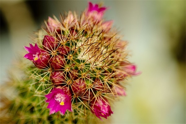 老公50岁生日祝福语大全 【100句精选】