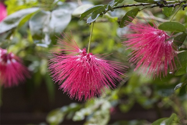 刚当妈妈的祝福语 【刚当妈妈的祝福语短语】