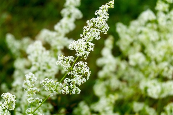 送给闺蜜蛋糕生日祝福语 闺蜜蛋糕生日祝福语 字