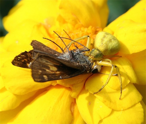 母亲节给婆婆贺卡祝福语大全简短(精选72句)