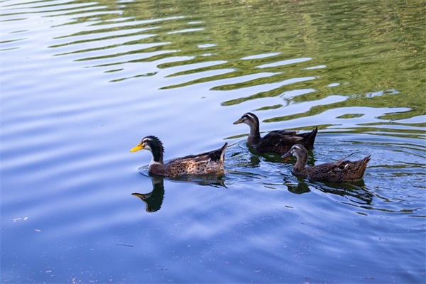 老公生日祝福语发朋友圈(精选92句)