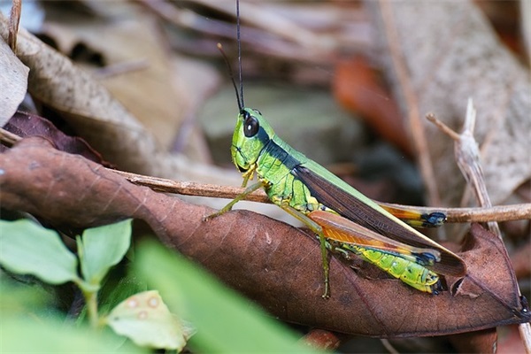 公司员工离职祝福(精选3篇)