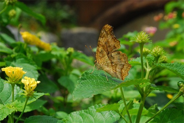 公司司庆祝福语-81句