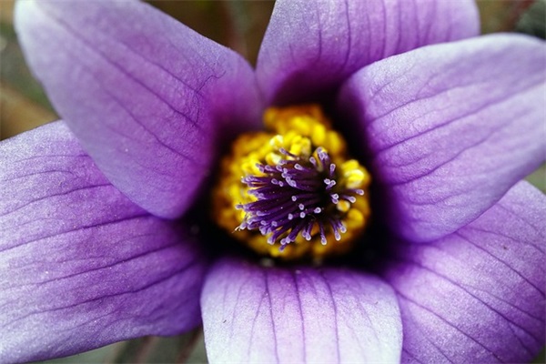 离别祝福的短句 告别祝福的话(精选51句)