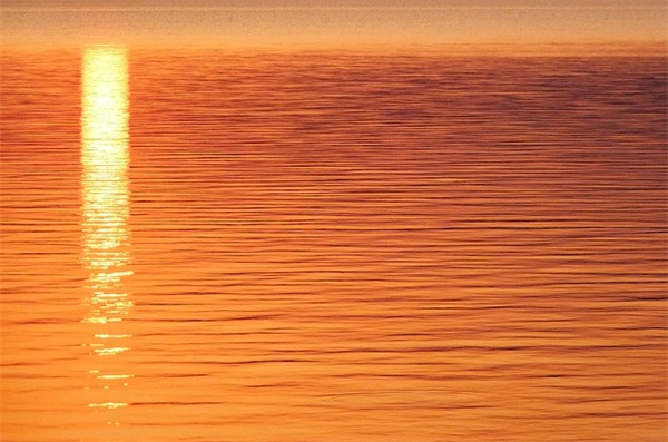 感谢医生的新年祝福语 新年对领导感谢祝福语