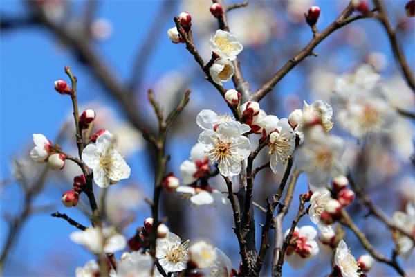 庆祝高考结束祝福语 庆祝高考结束的祝福语简洁