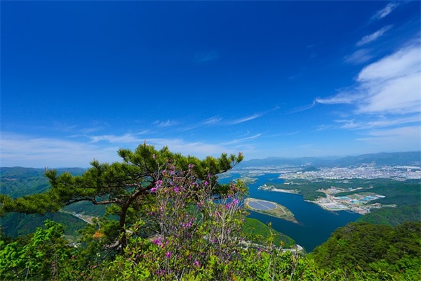 微信圈怎么统一回复祝福语(汇总30条)